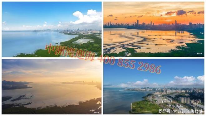 息：住宅单价与折后价格户型总价明细AG真人网页中州湾迎海二期最新消(图12)